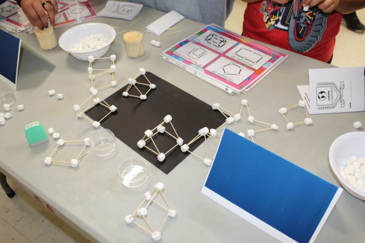 Marshmallow and toothpick 2D and 3D shapes made by students.