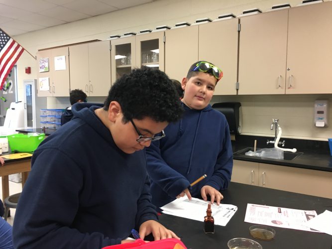 Physical or Chemical Change Stations