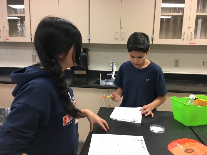 Physical or Chemical Change Stations